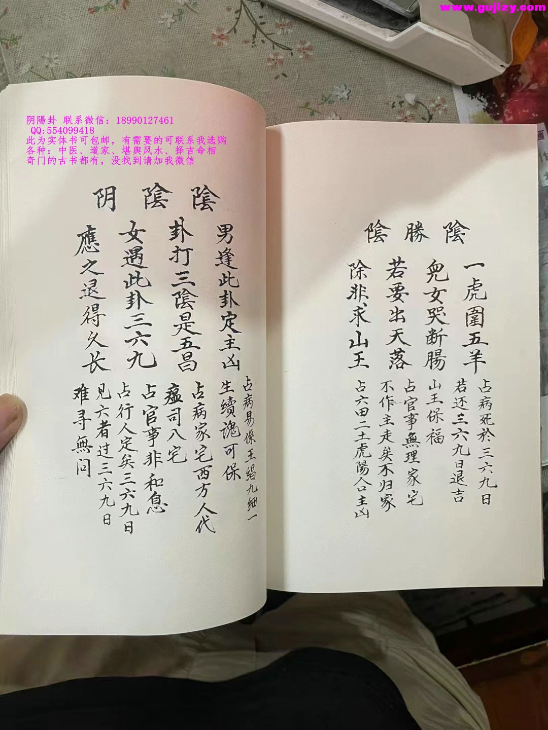 1725295961109.jpg