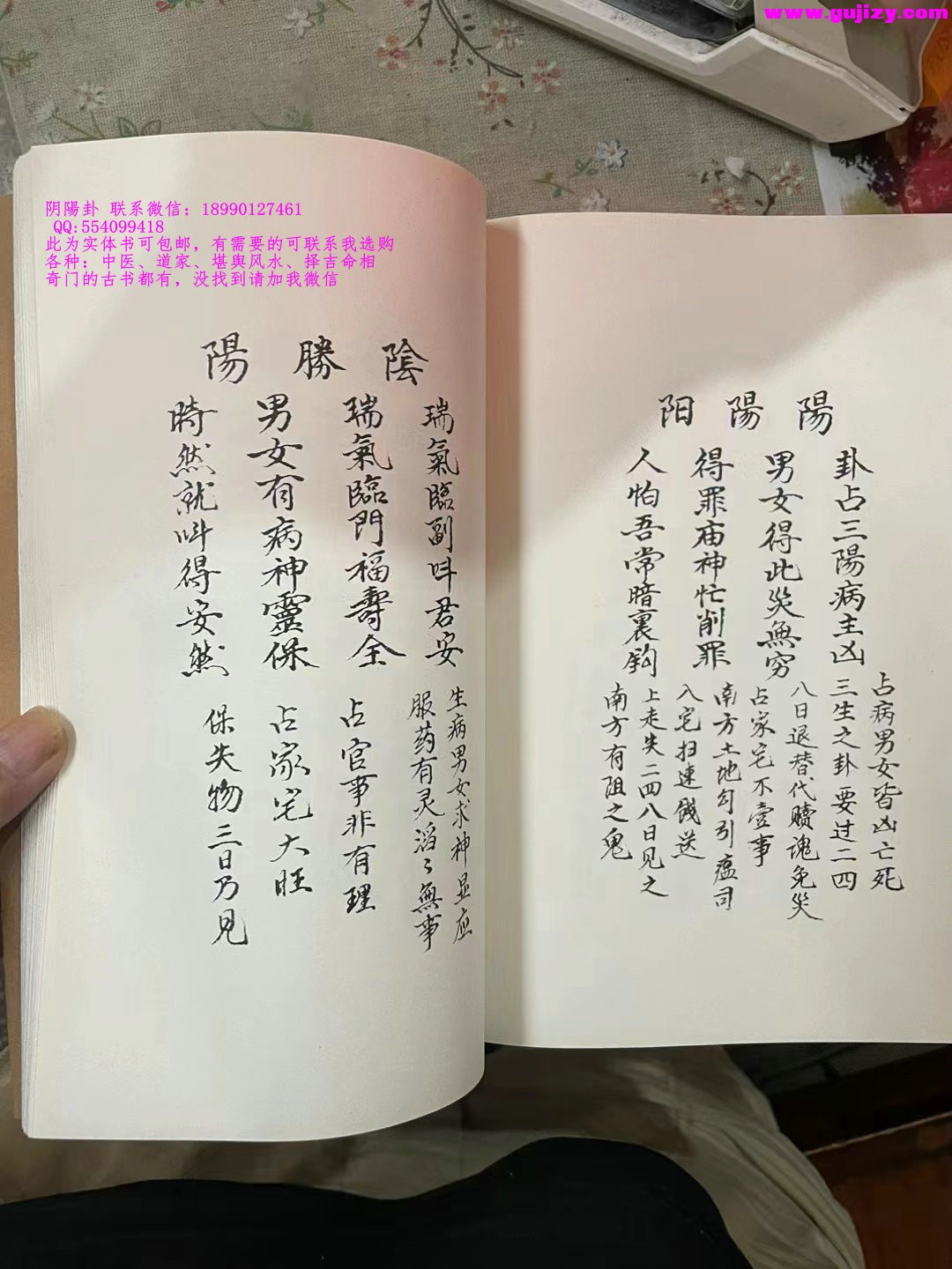 1725295962304.jpg