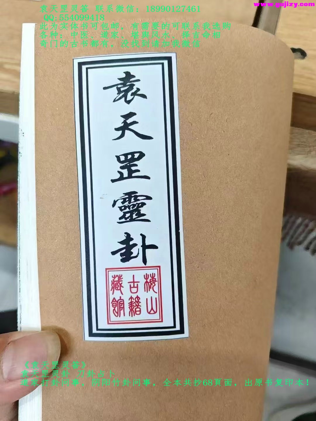 1739173735056.jpg