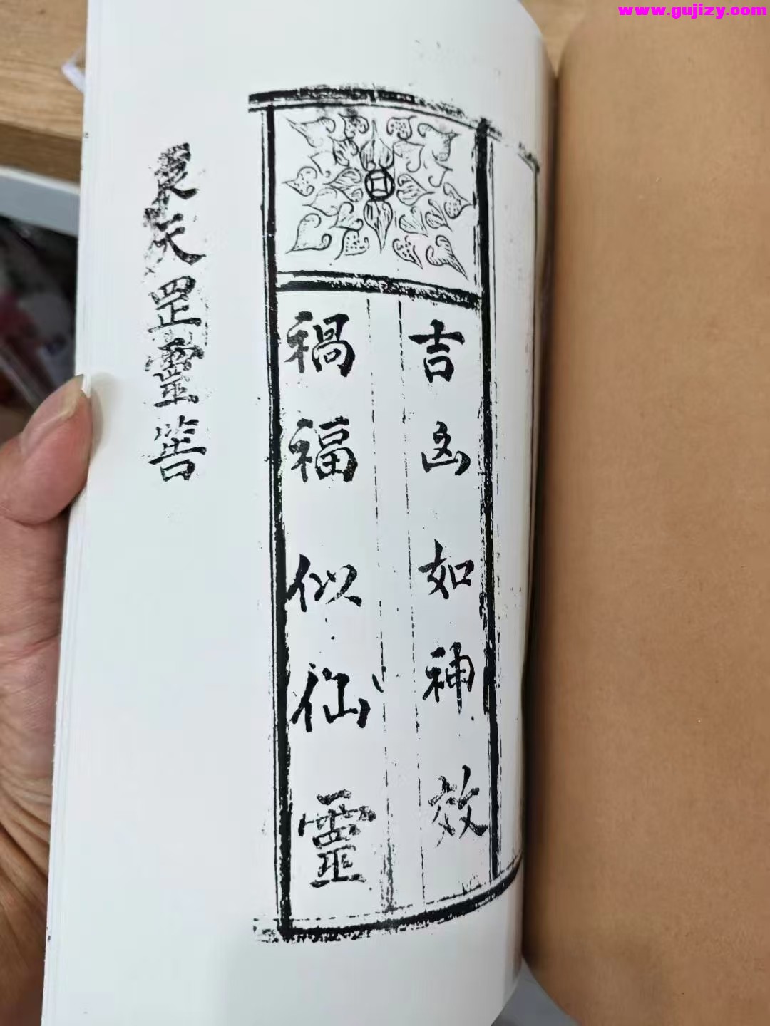 1739173736241.jpg