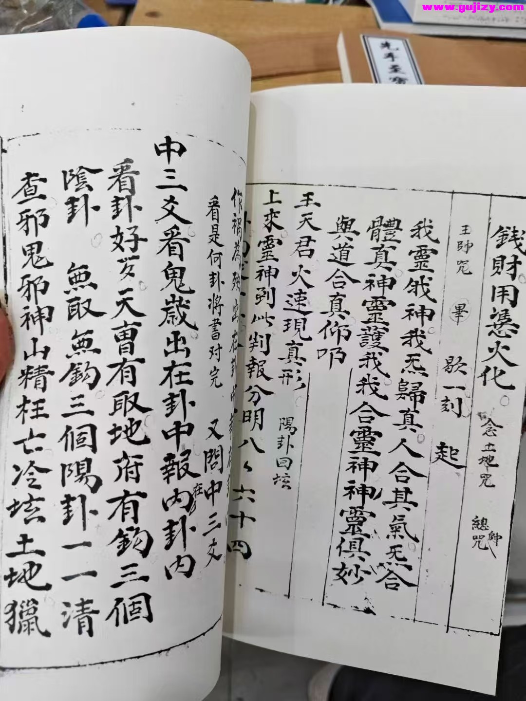 1739173745007.jpg