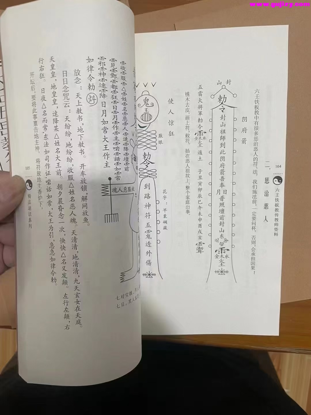 1737377775037.jpg