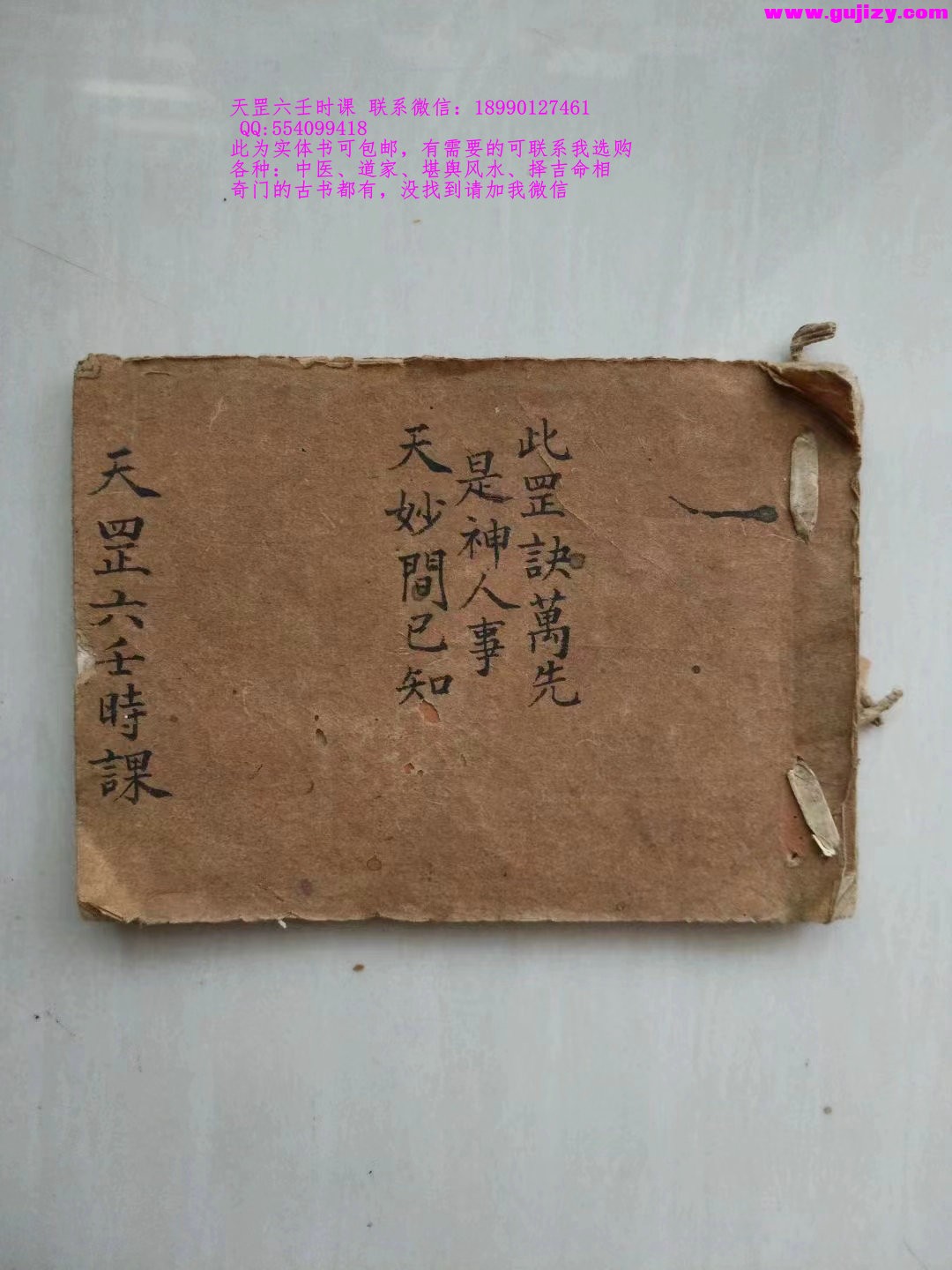 1725301486474.jpg