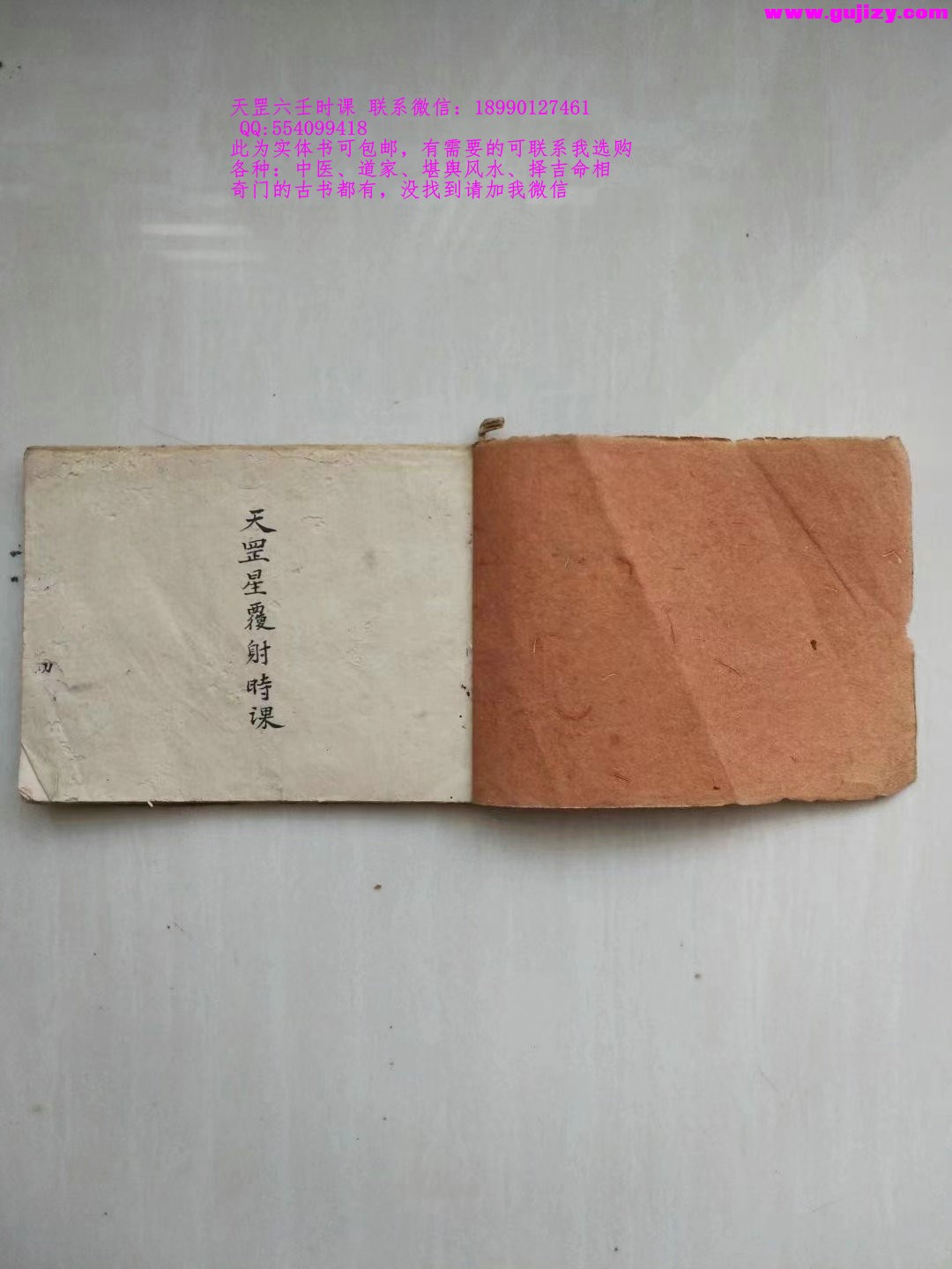 1725301494712.jpg
