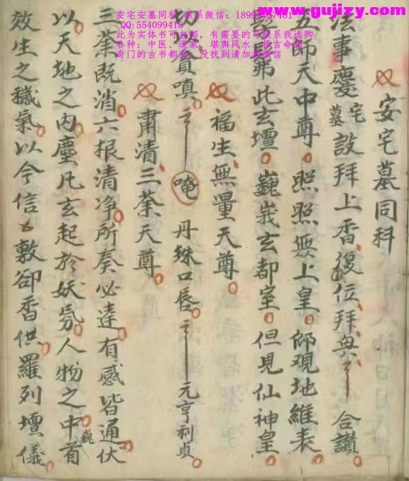 1723910281178.jpg