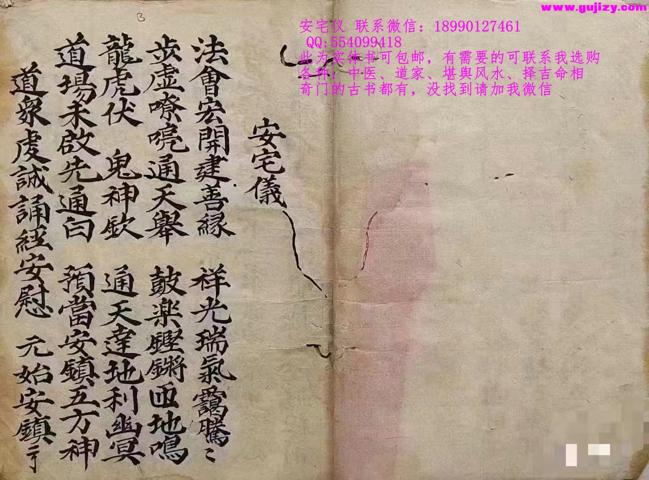 1725297384865.jpg