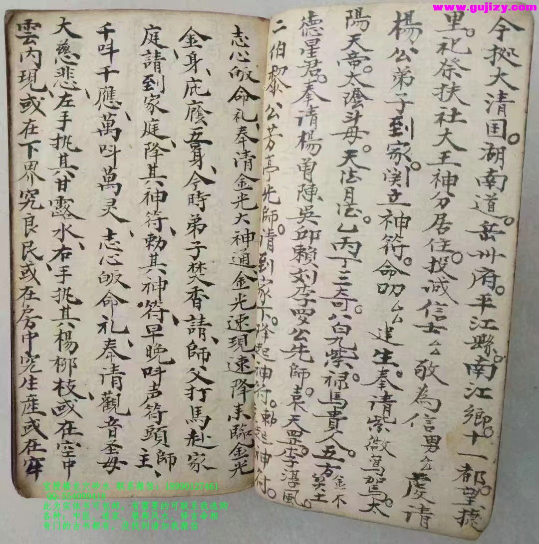 1725299483107.jpg