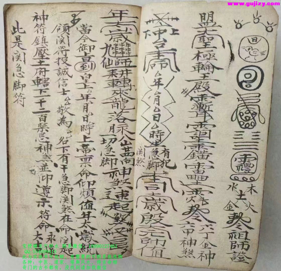 1725299484313.jpg
