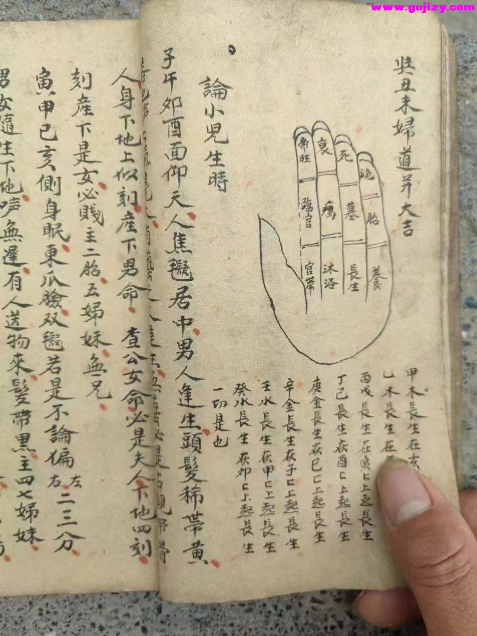 1722138085618.jpg