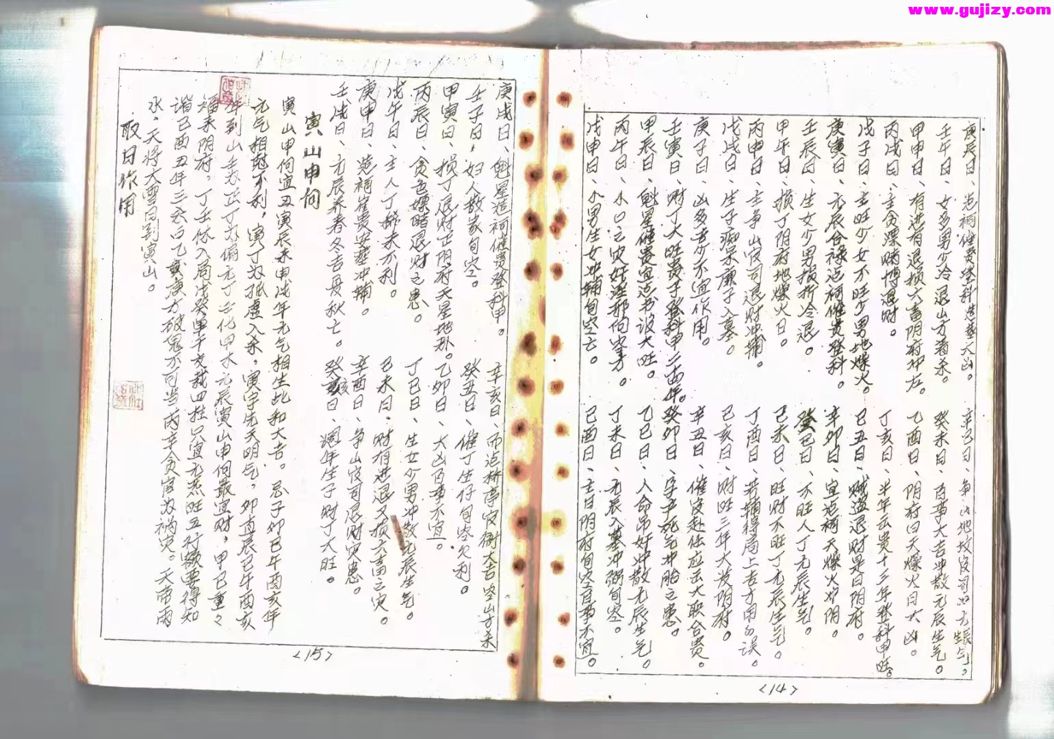 1723202441353.jpg
