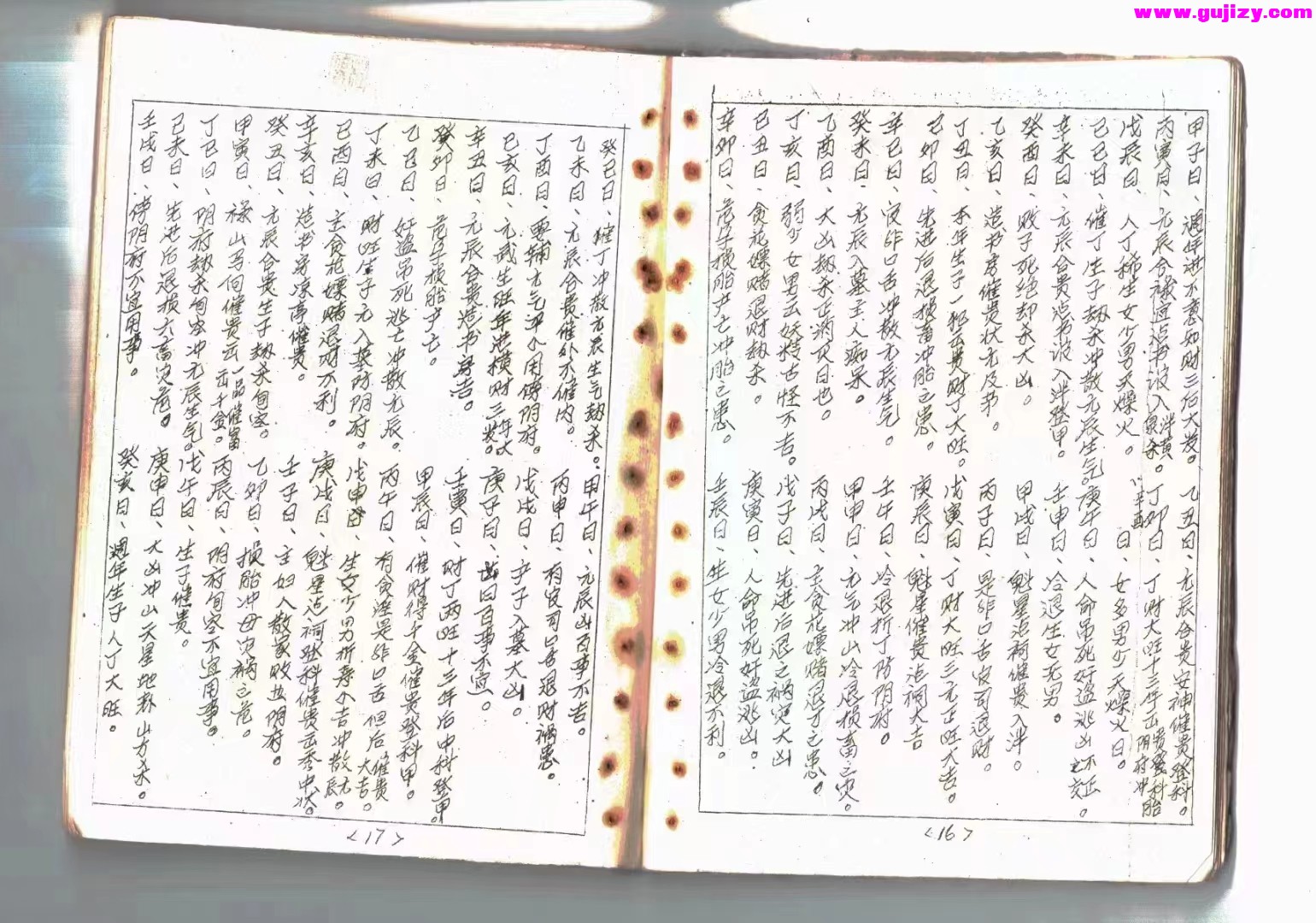1723202442972.jpg