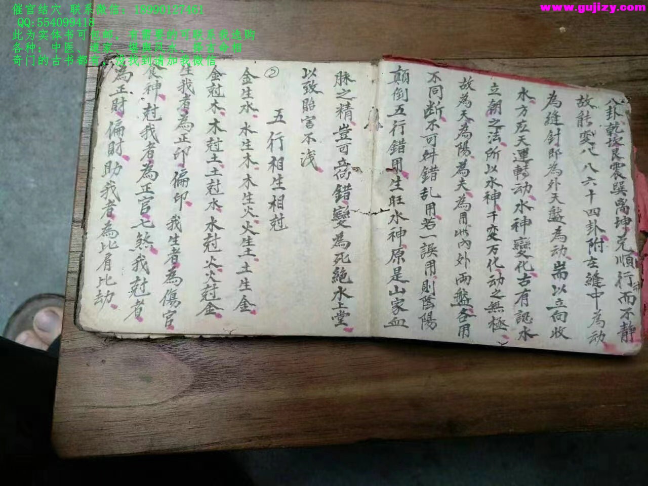 1725378742633.jpg