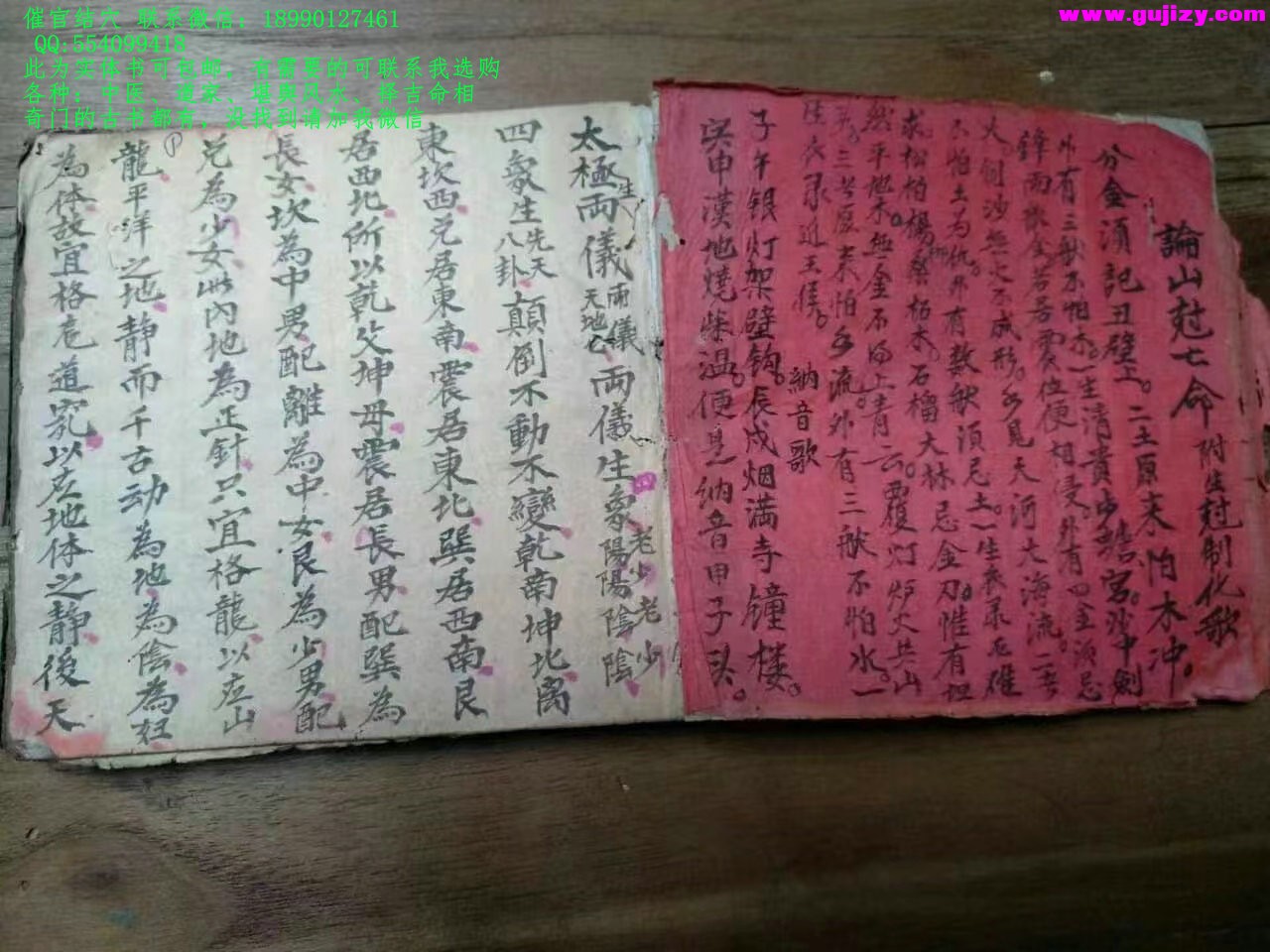 1725378741088.jpg