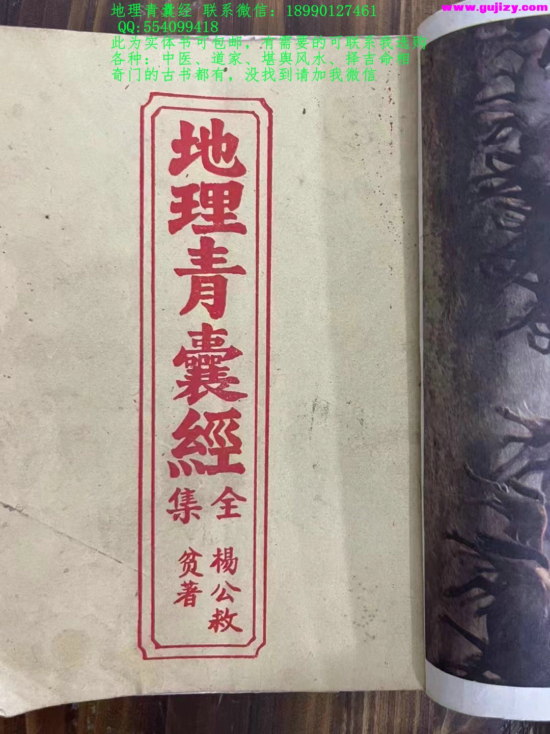 1723910374570.jpg