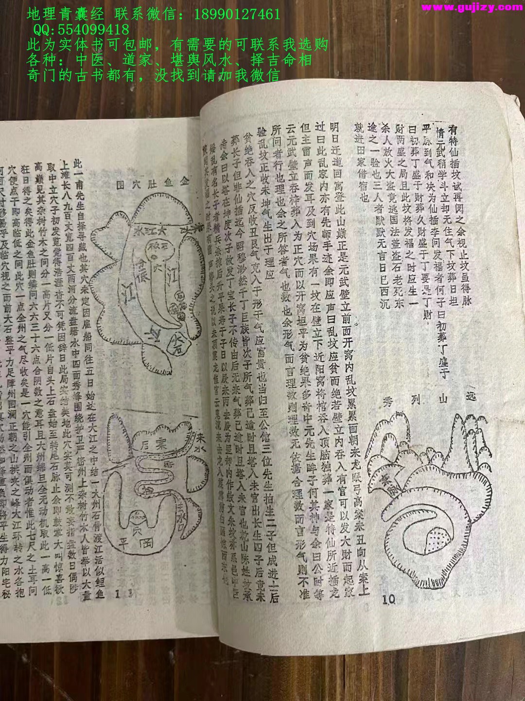 1723910378404.jpg