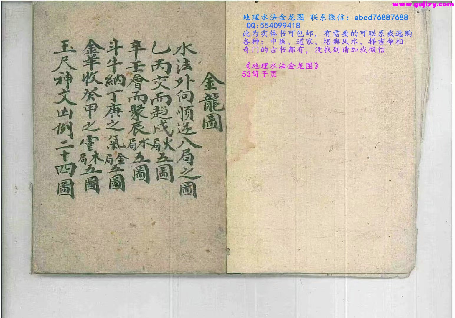1739428503244.jpg