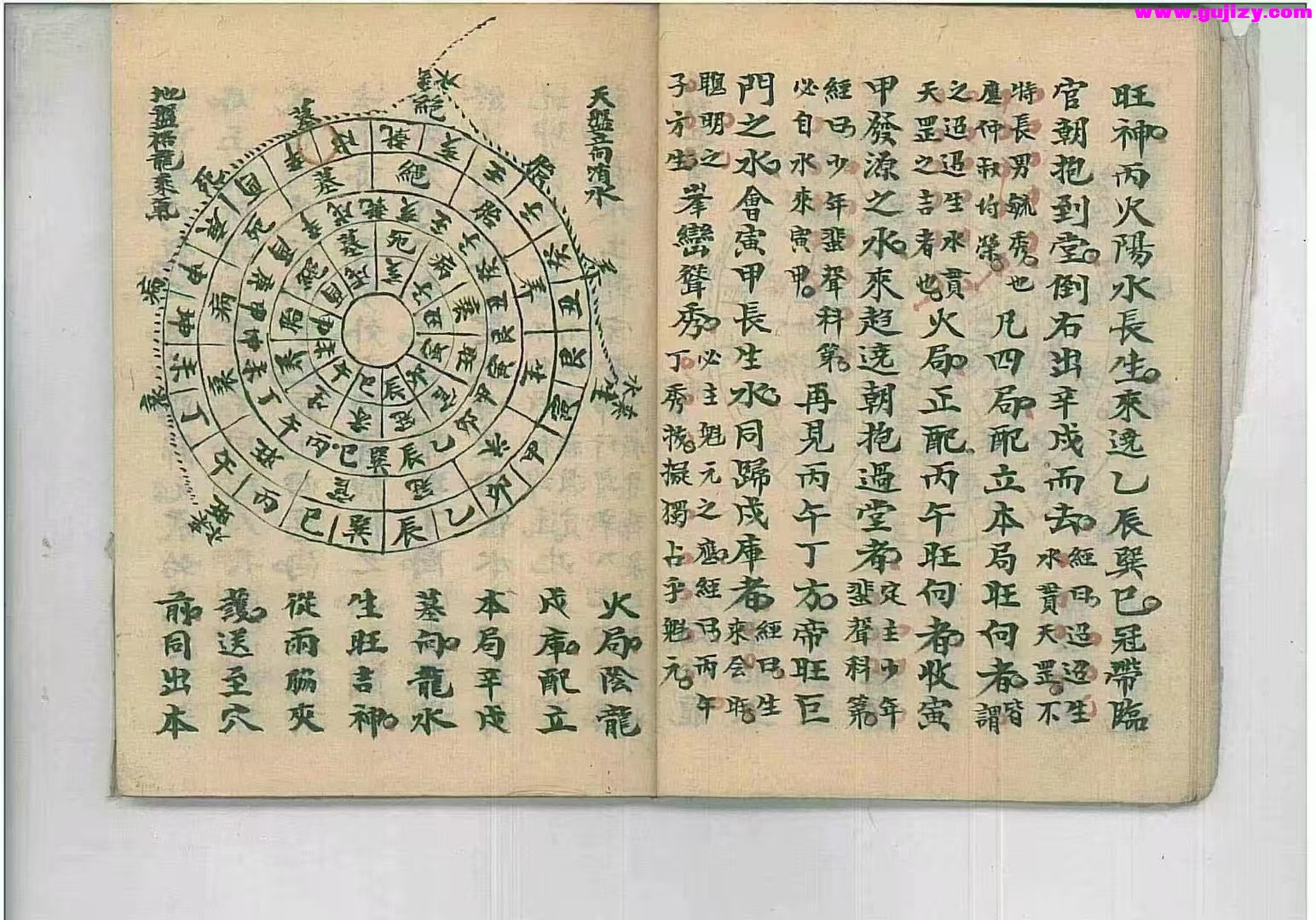 1739428513421.jpg