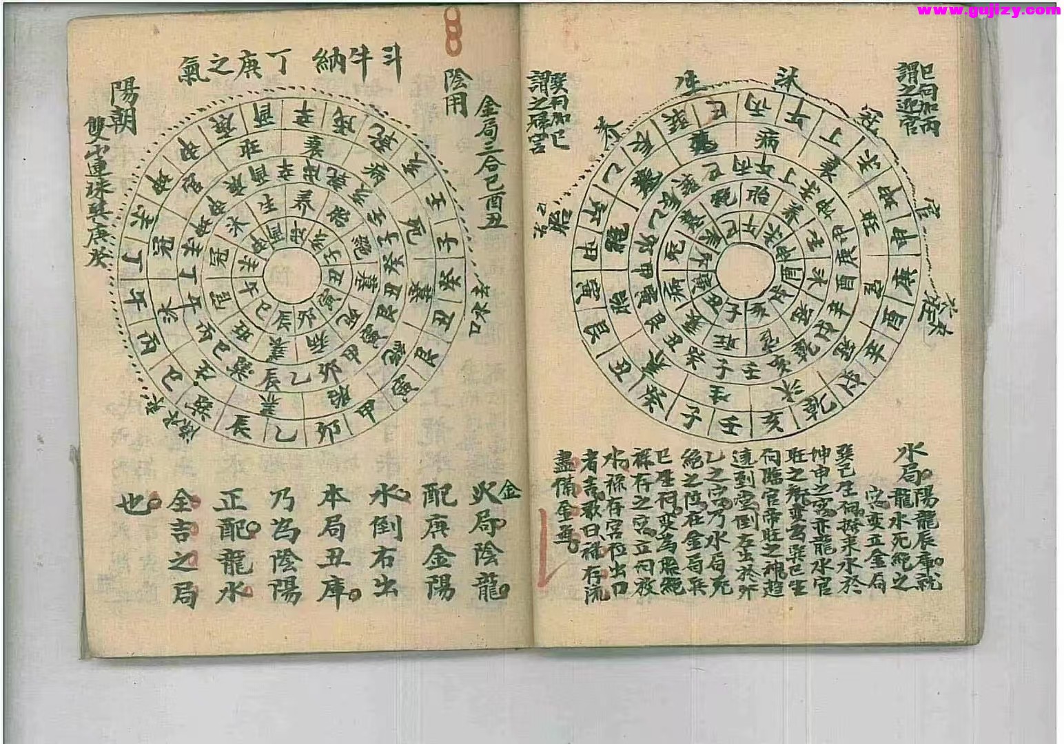 1739428514963.jpg
