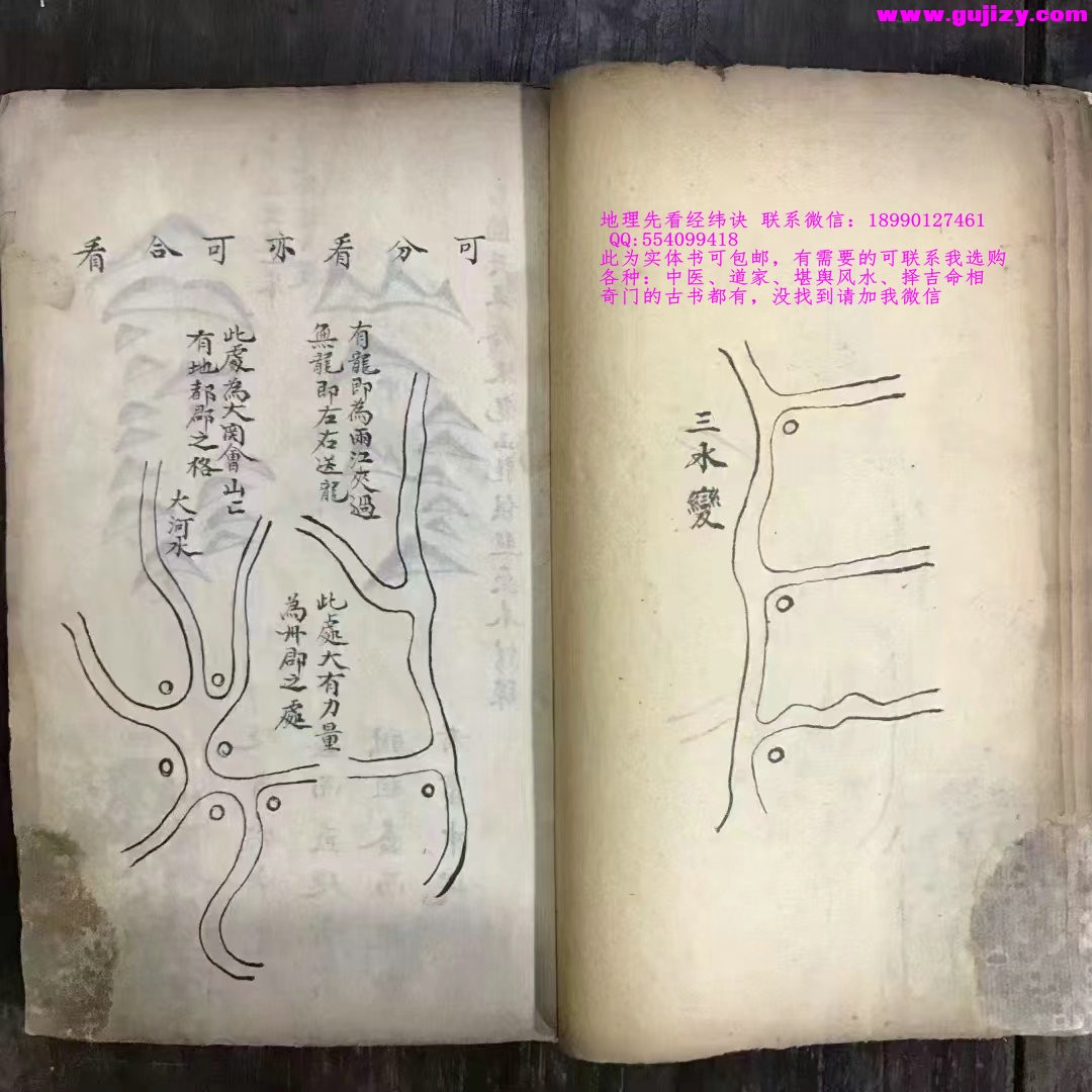 1725299194333.jpg