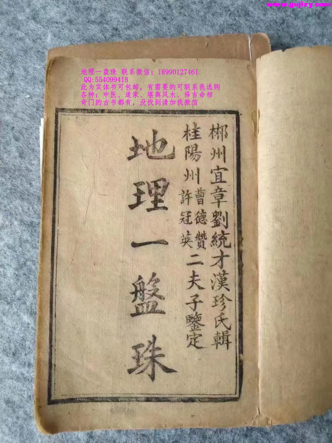 1723171847707.jpg