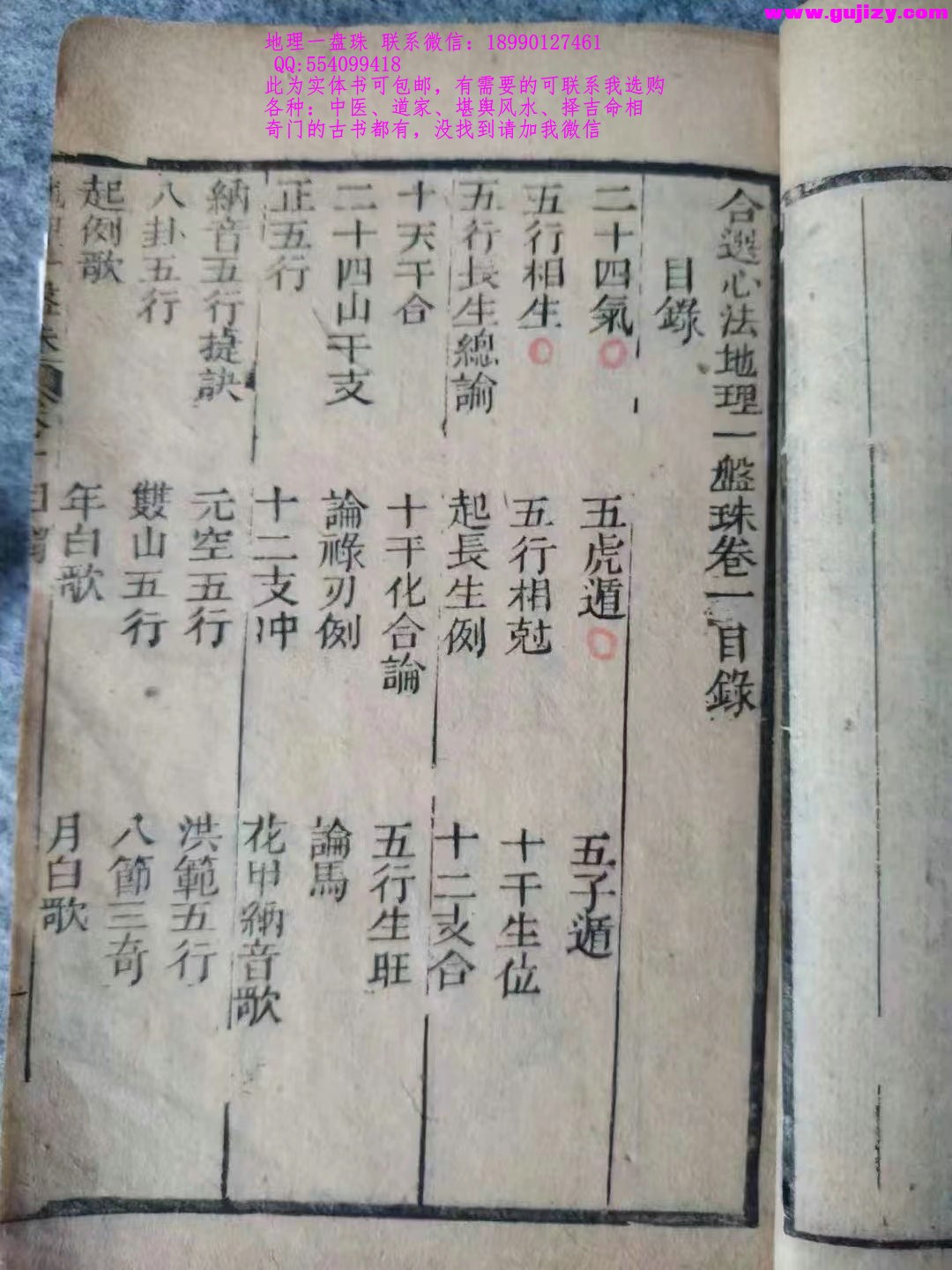 1723171854424.jpg