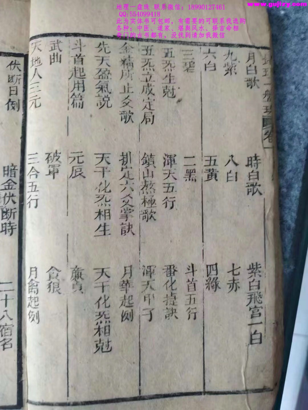 1723171856166.jpg