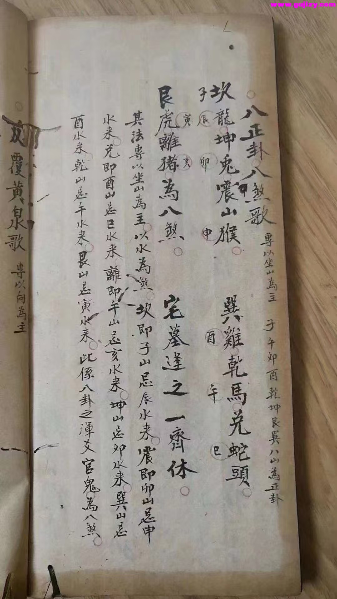 1739170586515.jpg