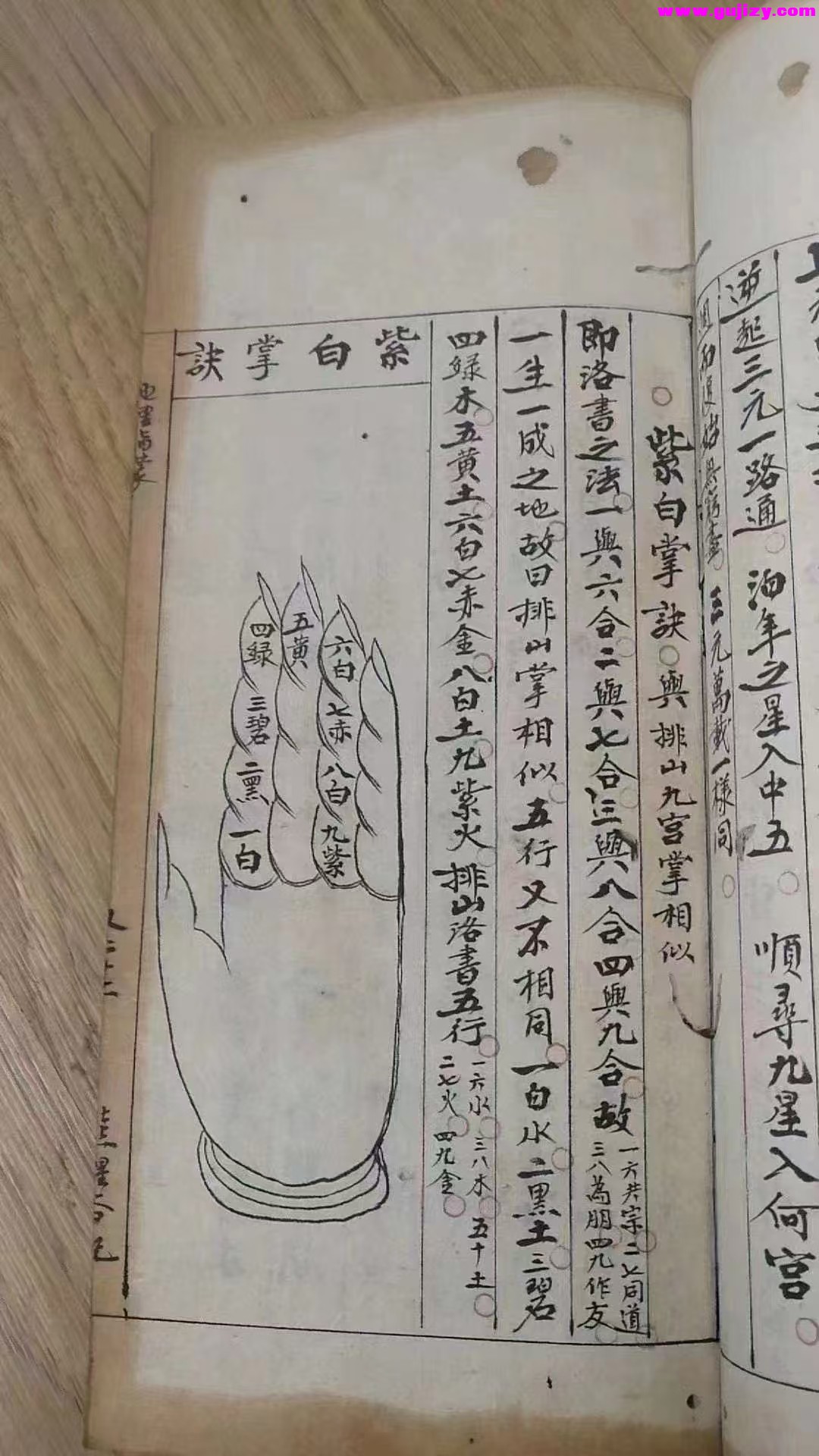 1739170583389.jpg