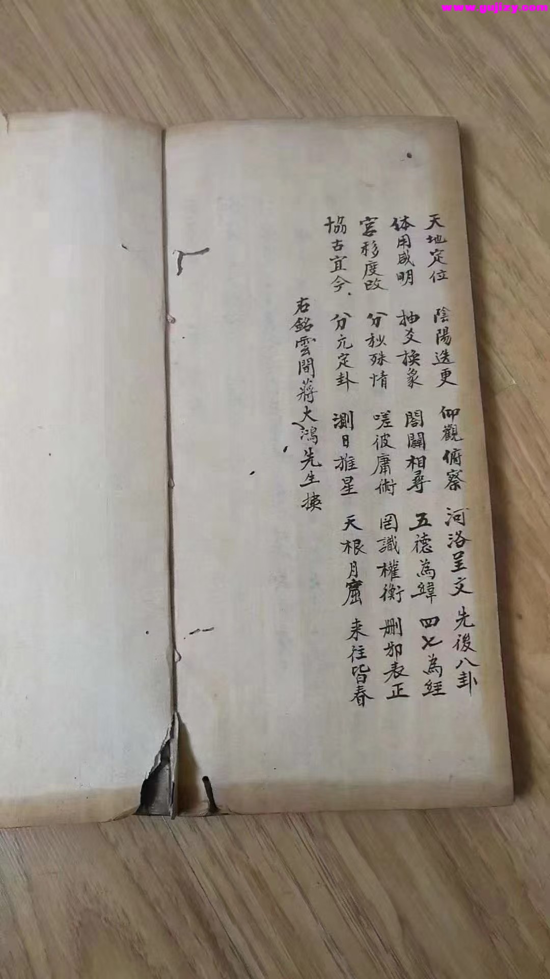 1739170589719.jpg