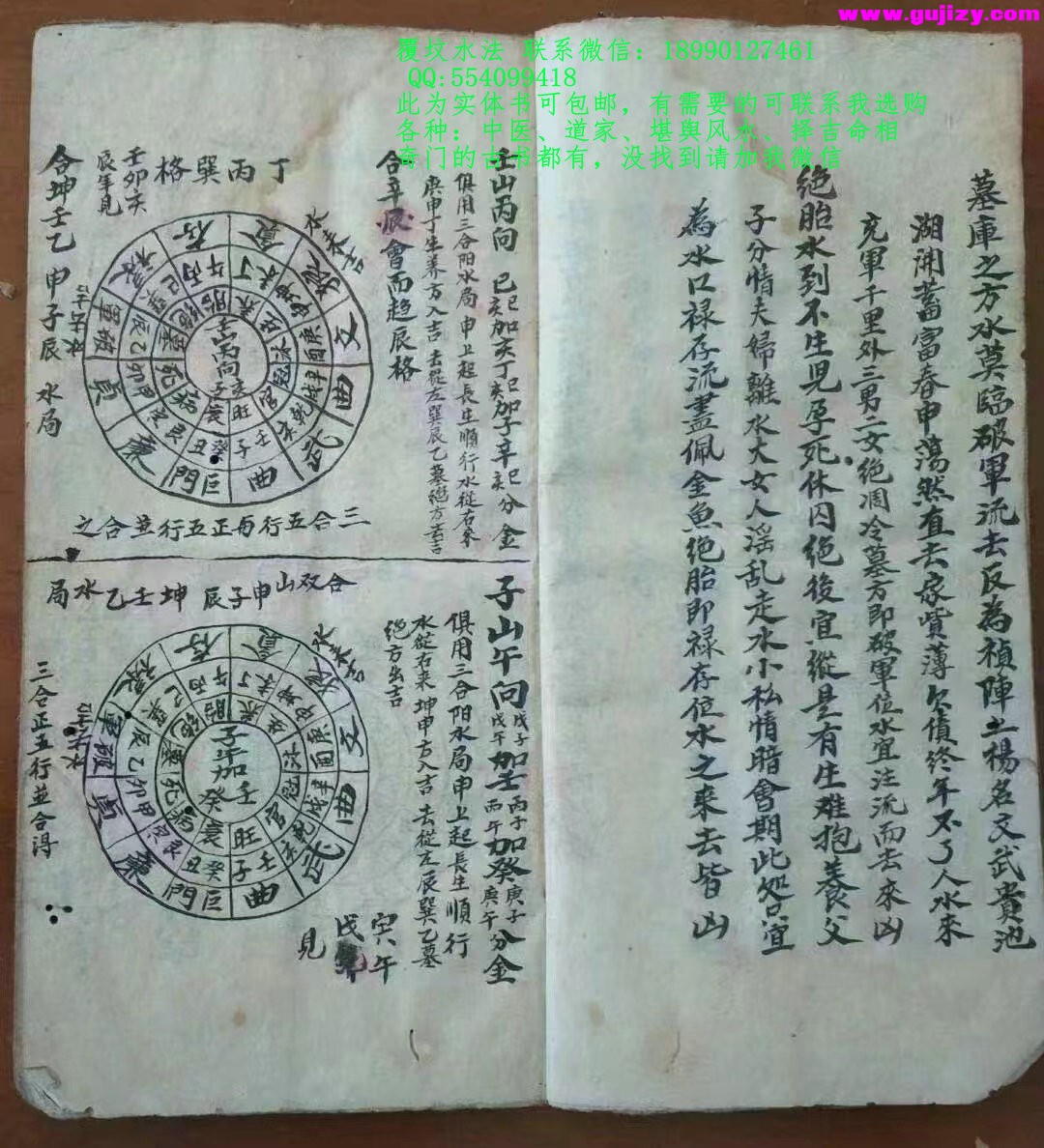 1723911392939.jpg