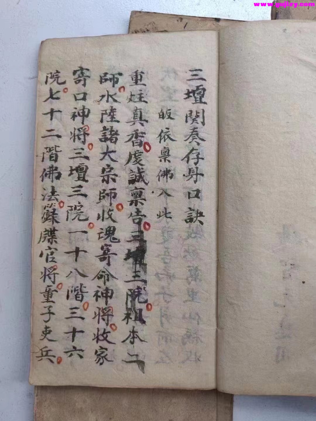 1725298146997.jpg