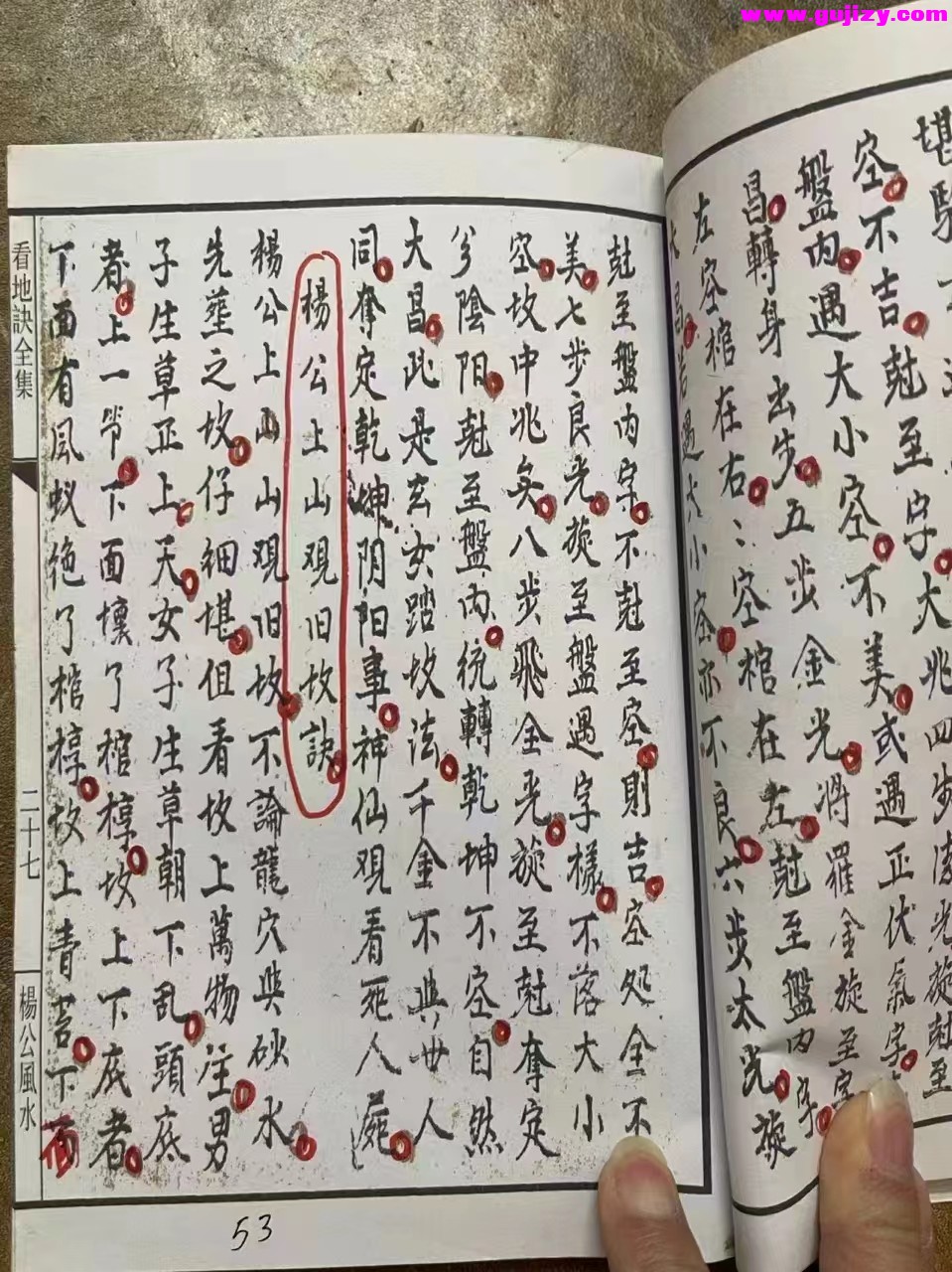 1722139990813.jpg