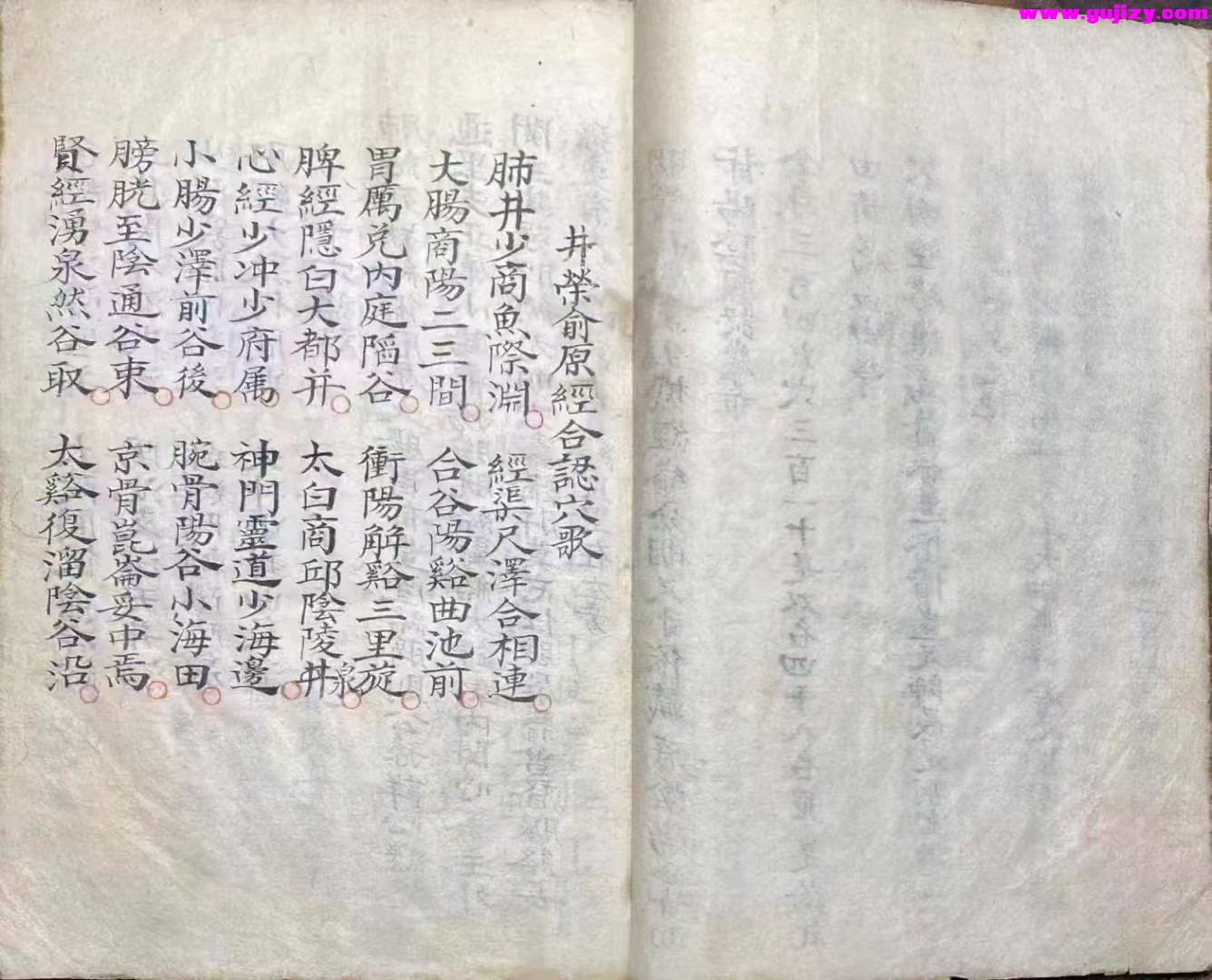 1739170991677.jpg