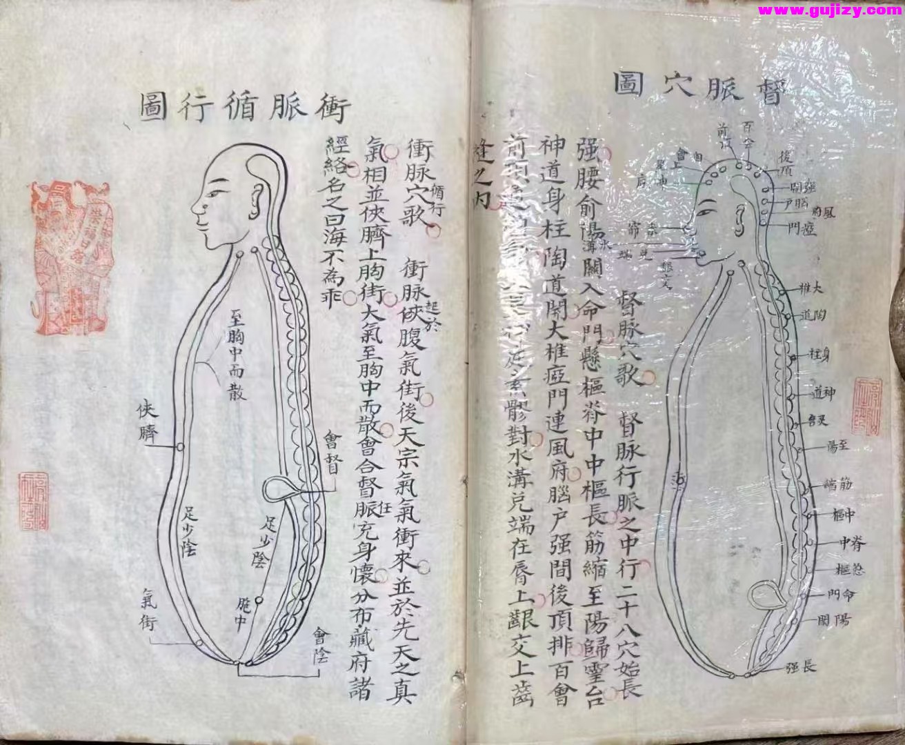 1739170995649.jpg
