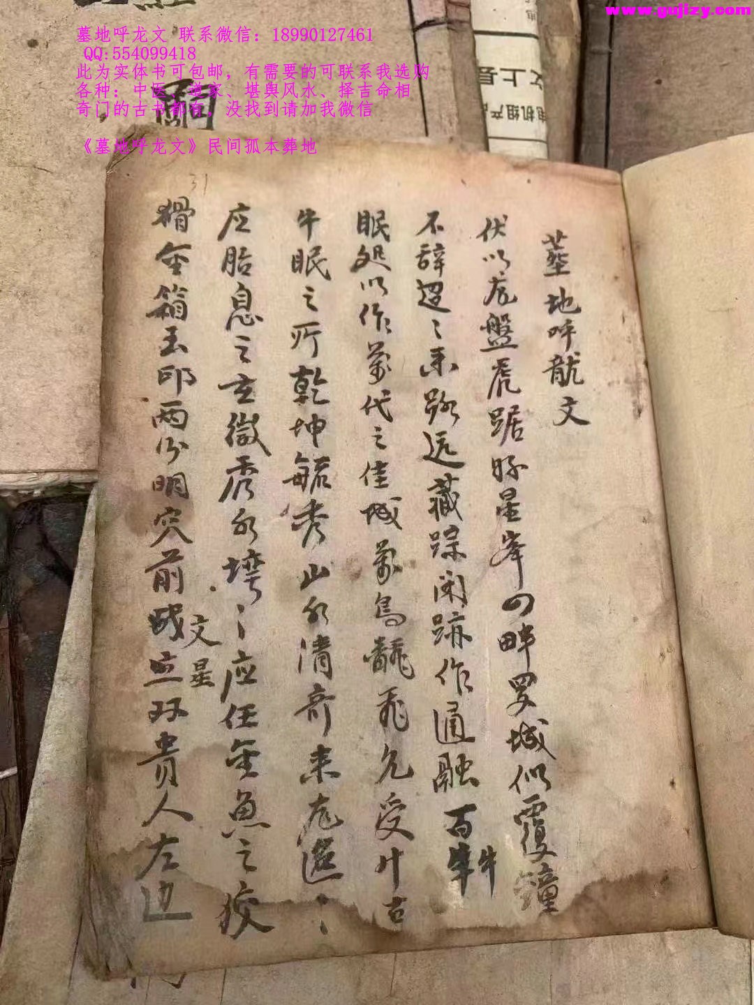 1722168471875.jpg