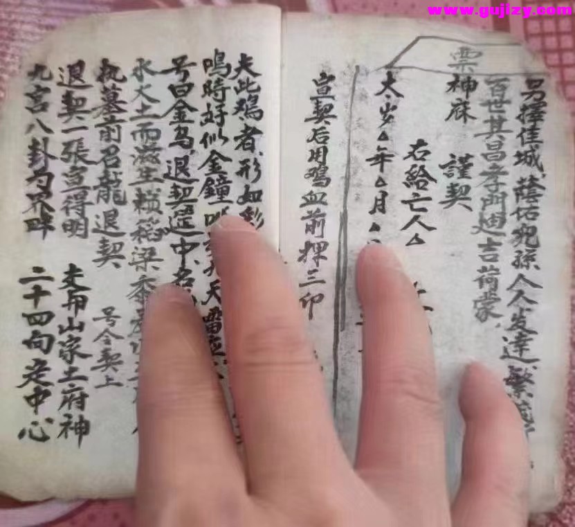 1723190377008.jpg
