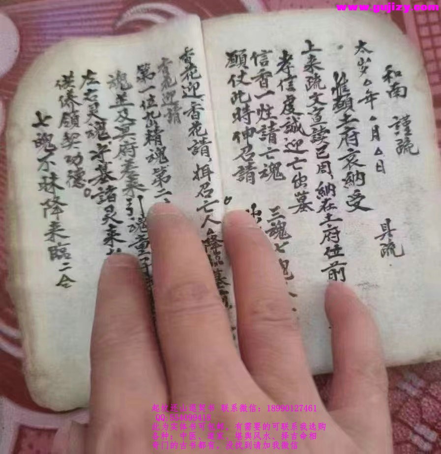 1723190373050.jpg