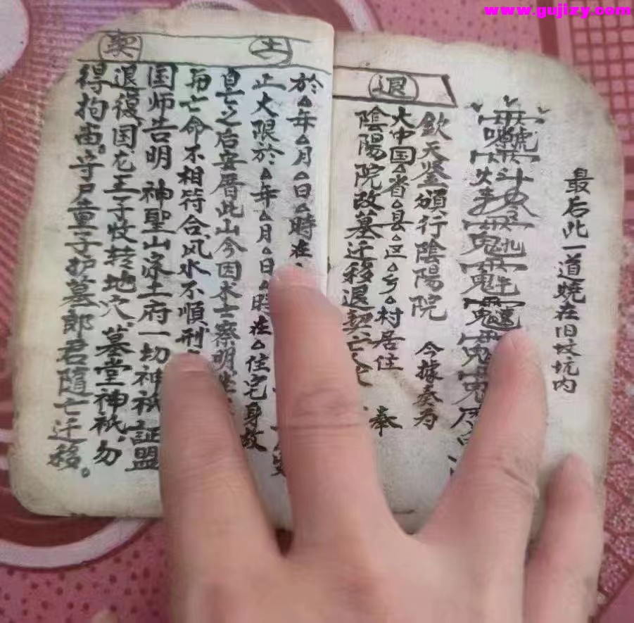 1723190380972.jpg