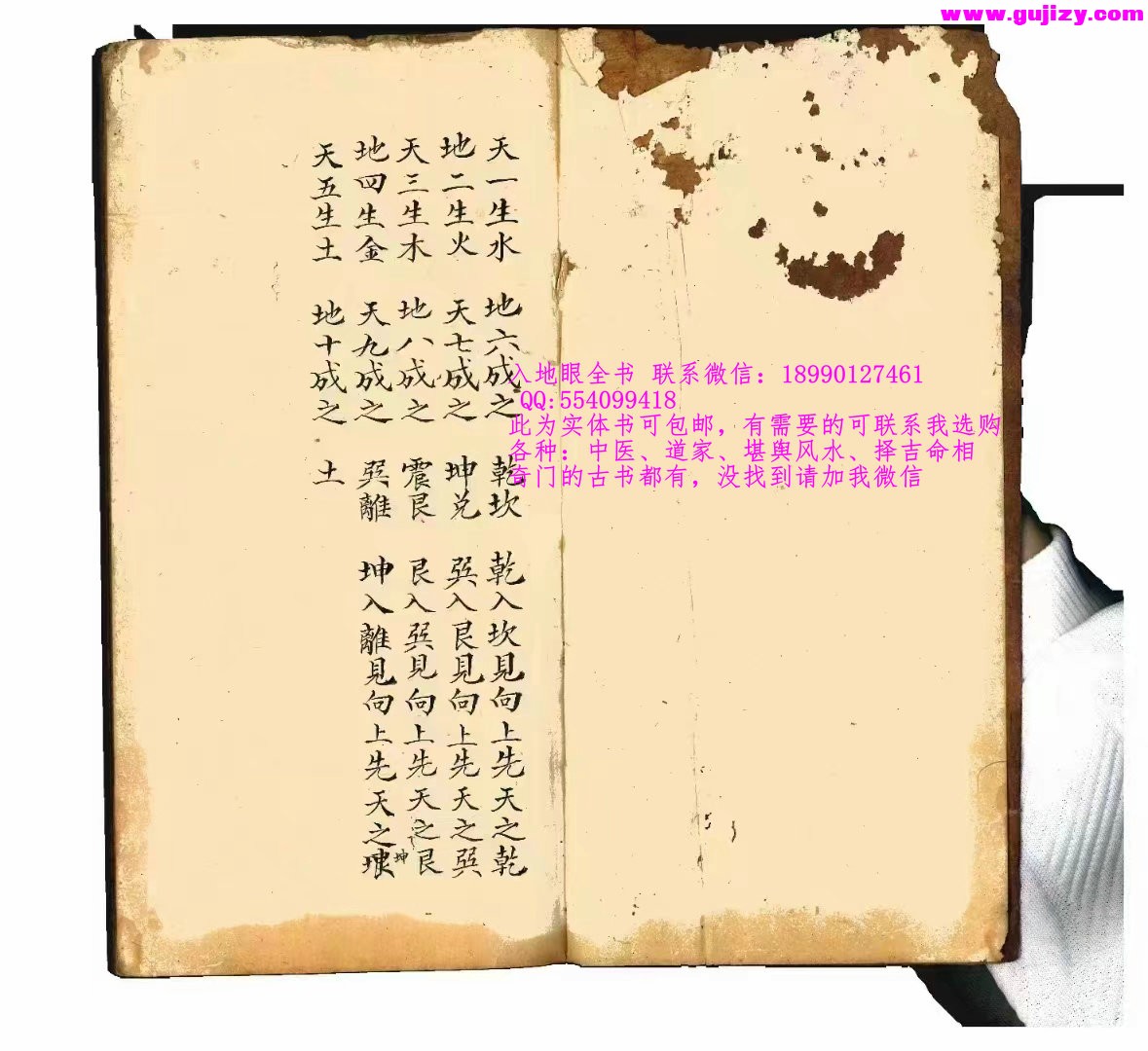 1722167280289.jpg