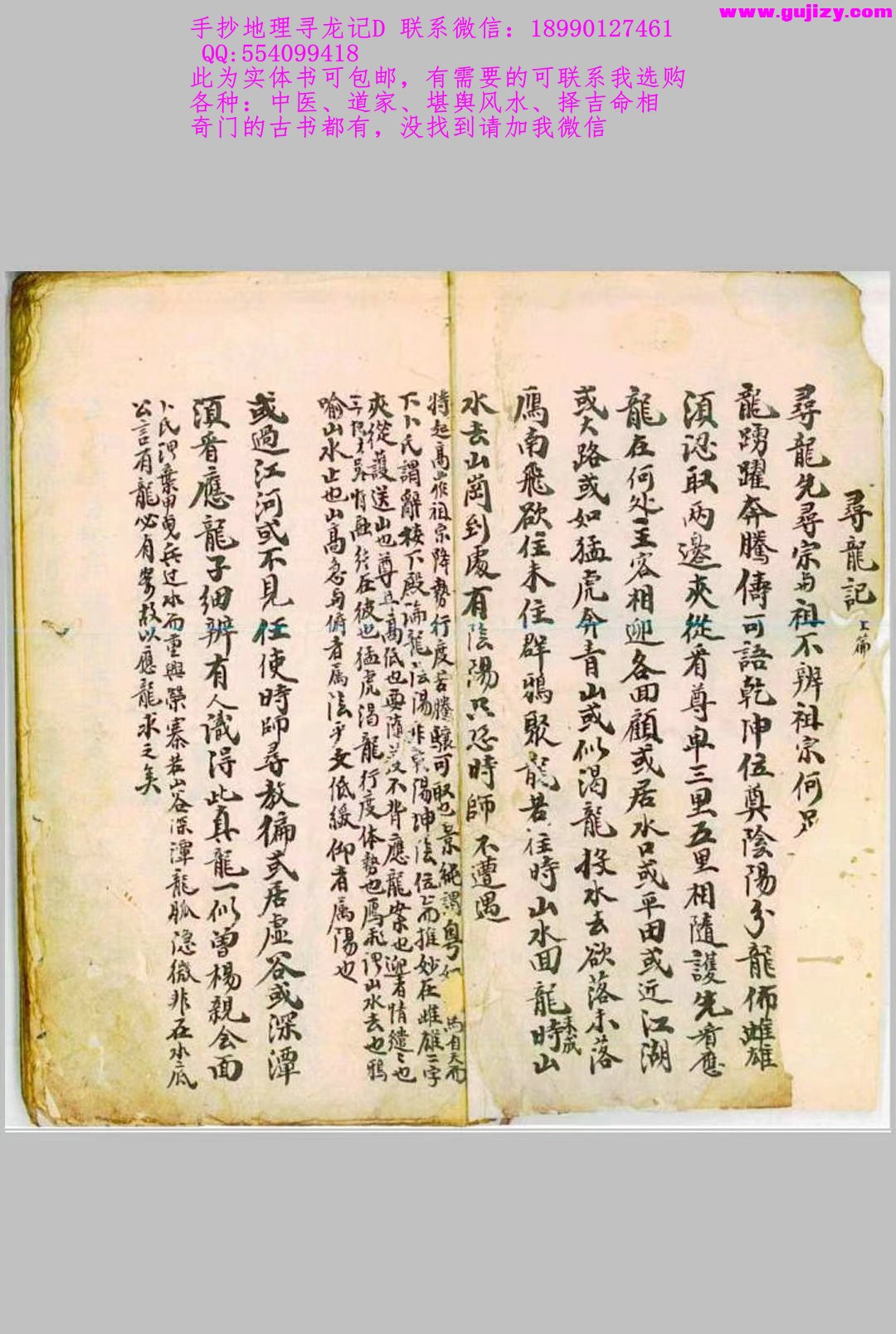 1723183130349.jpg