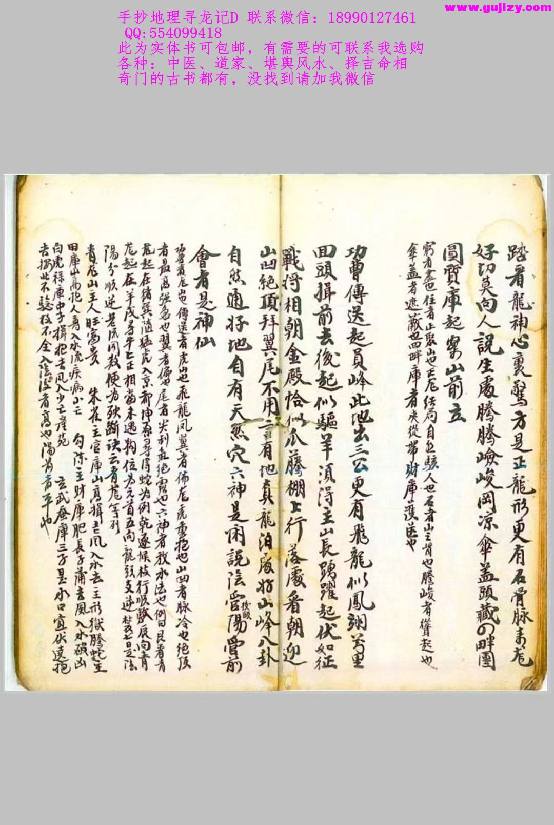 1723183136589.jpg