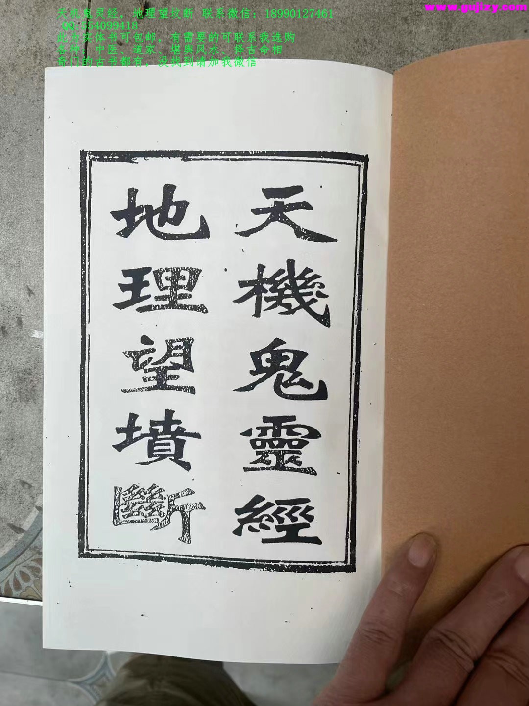1725297046358.jpg