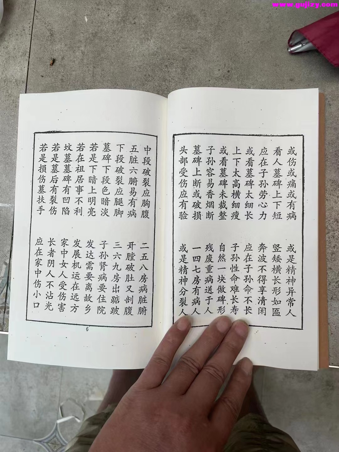 1725297050627.jpg