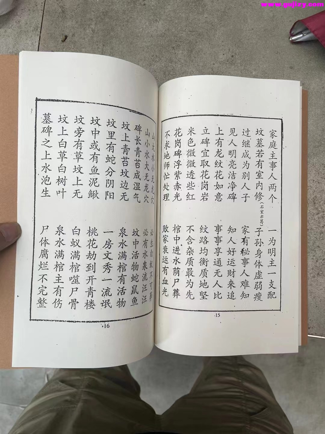 1725297054982.jpg