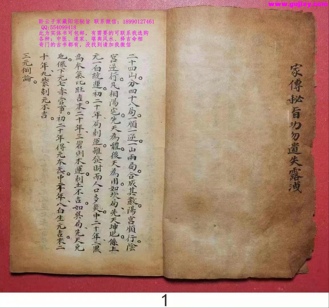1725299390645.jpg