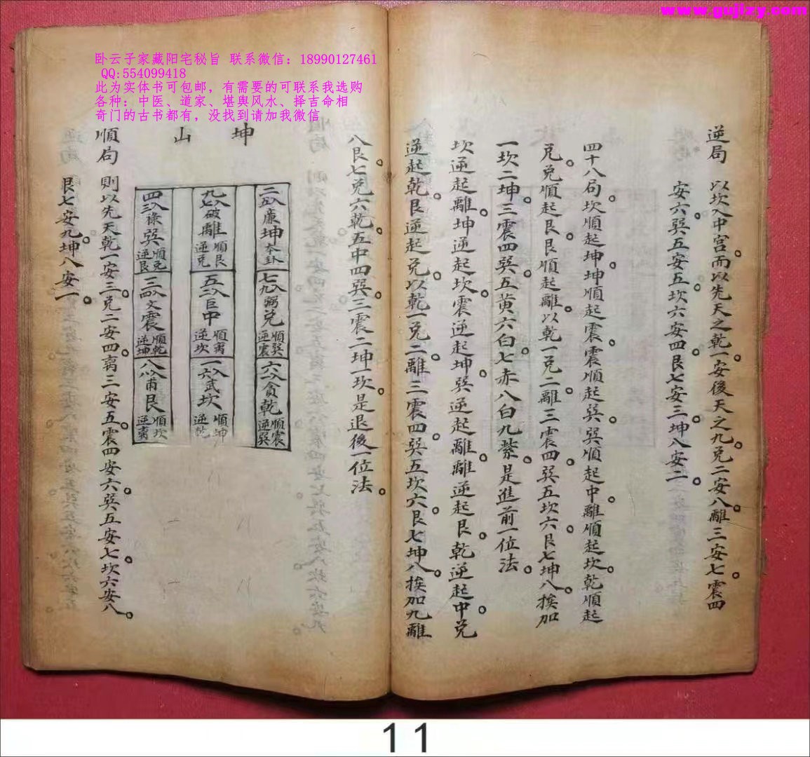1725299399419.jpg