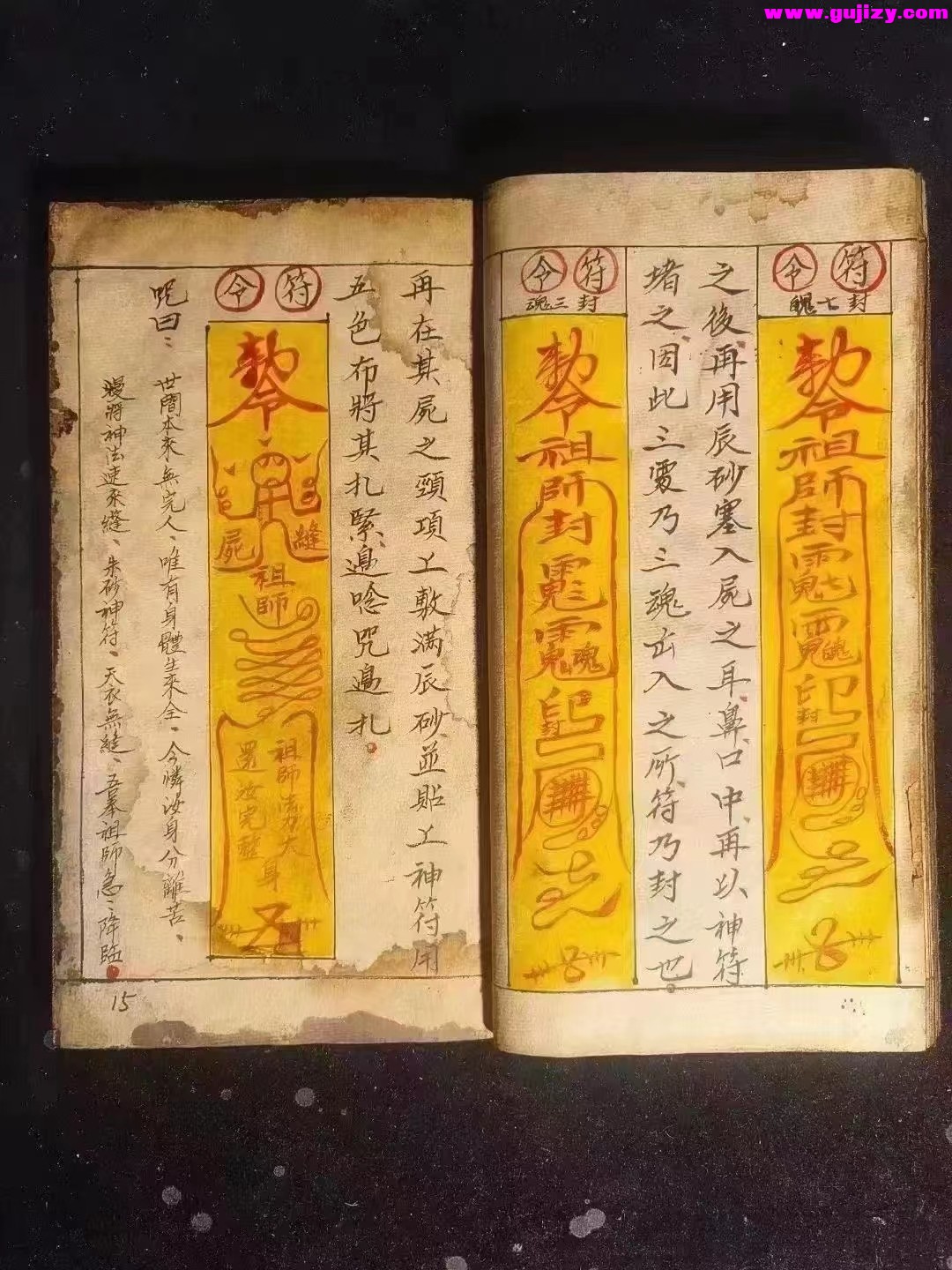 1725298974542.jpg