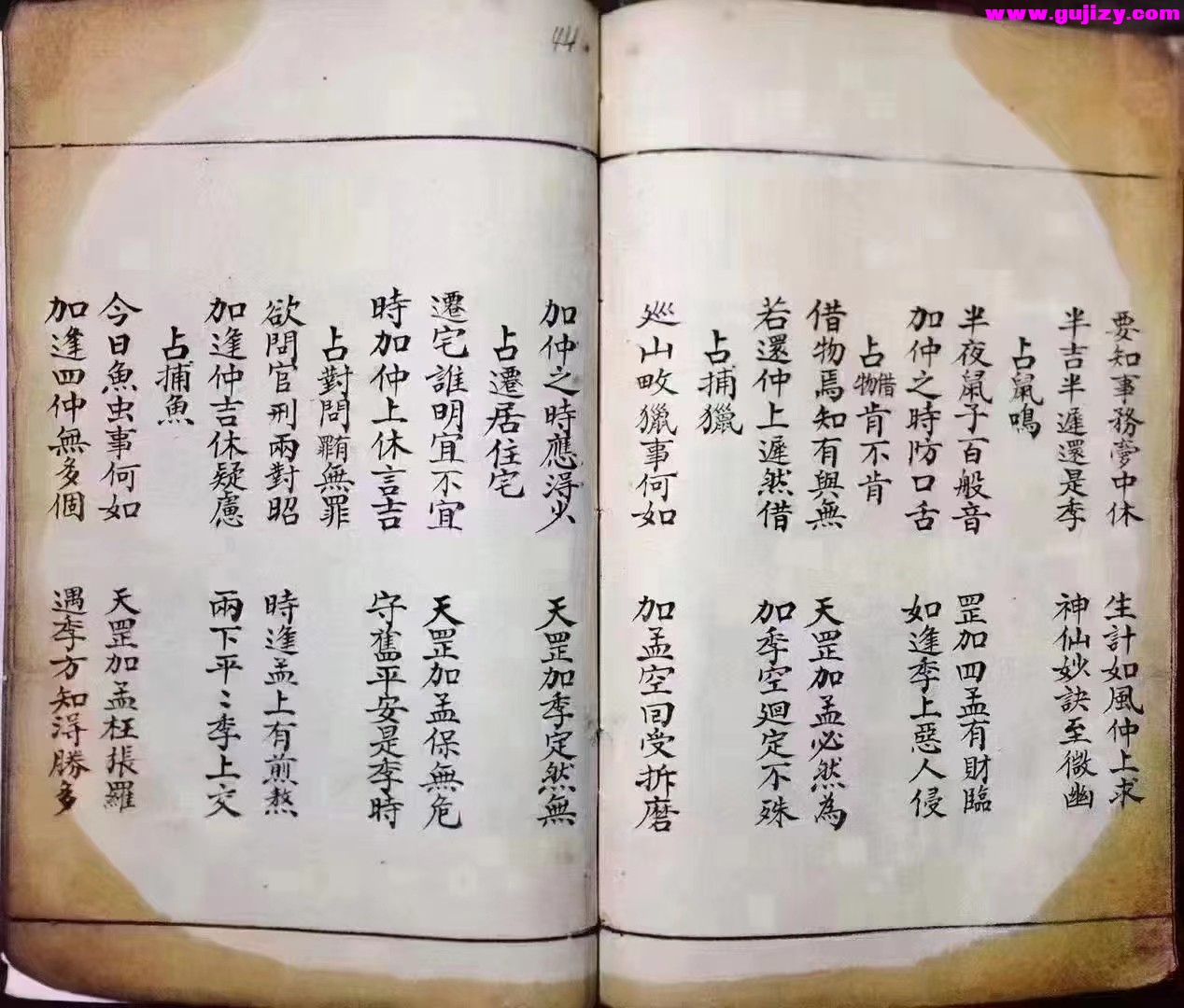 1725299662766.jpg