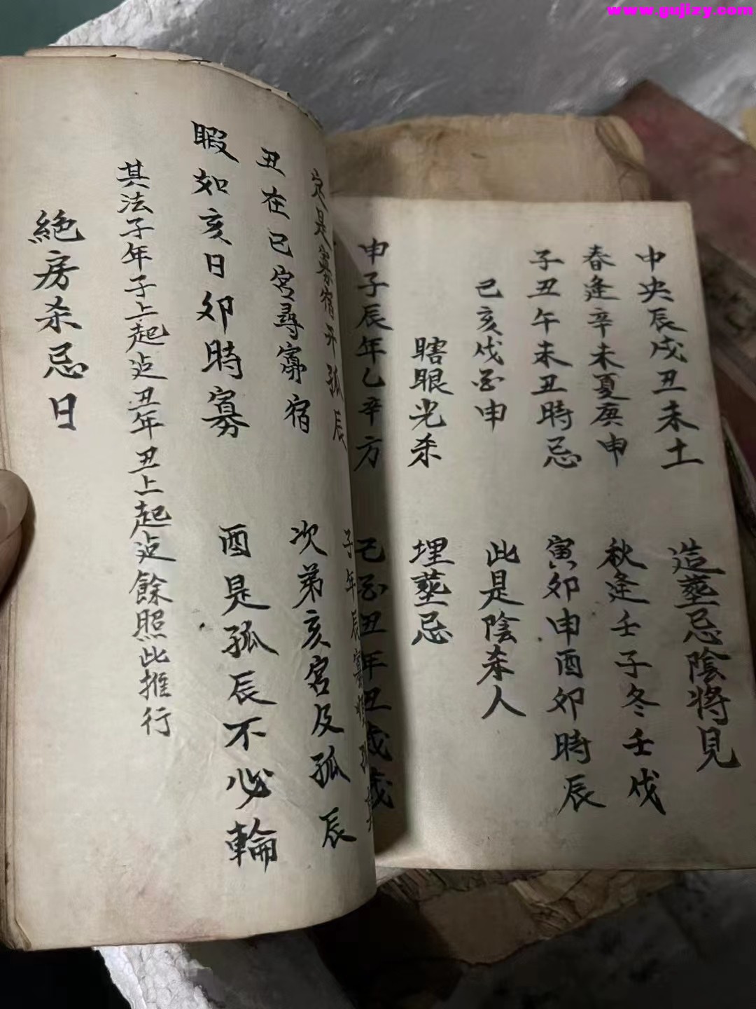 1722268784807.jpg