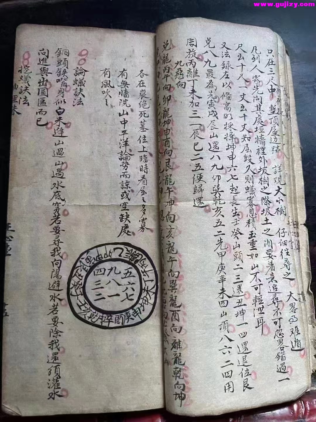 1738377238083.jpg